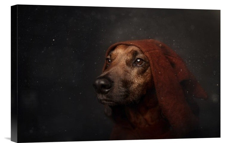 "The Night-Watchman" Stretched Canvas Giclee by Heike Willers, 18x12"