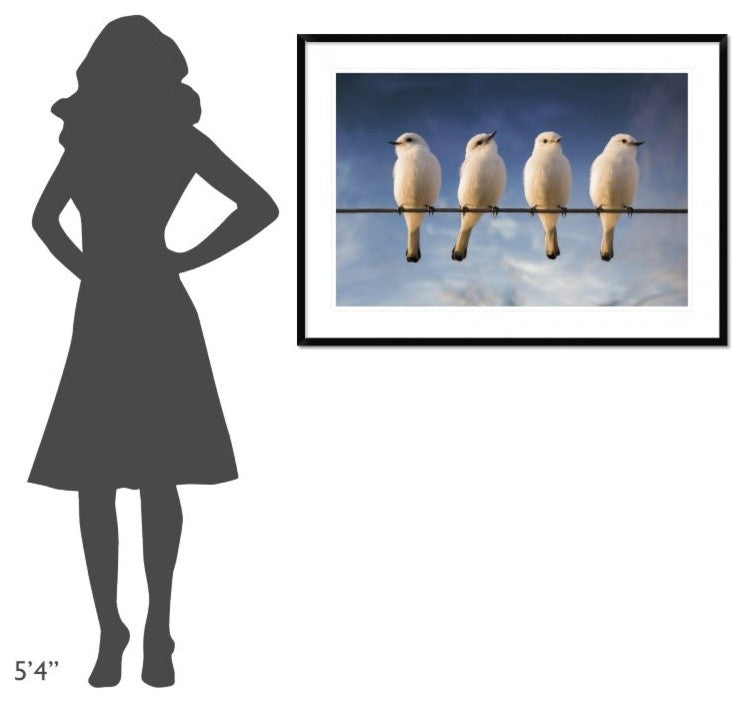 "White Monjita" Framed Digital Print by Chechi Peinado, 44x32"