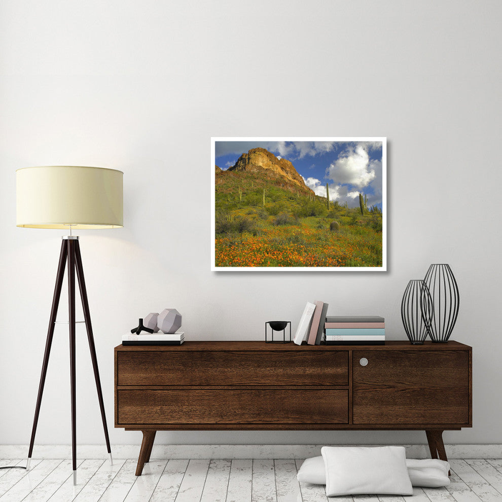 "California Poppy, Saguaro cacti, Organ Pipe Cactus Monument" Paper Art, 42"x32"