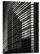 "Filled Lines, Reflected Balconies" Canvas by Yvette Depaepe, 25x36"