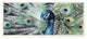Elegant Feathers Painted Peacock Wall Plaque Art, 7"x17"