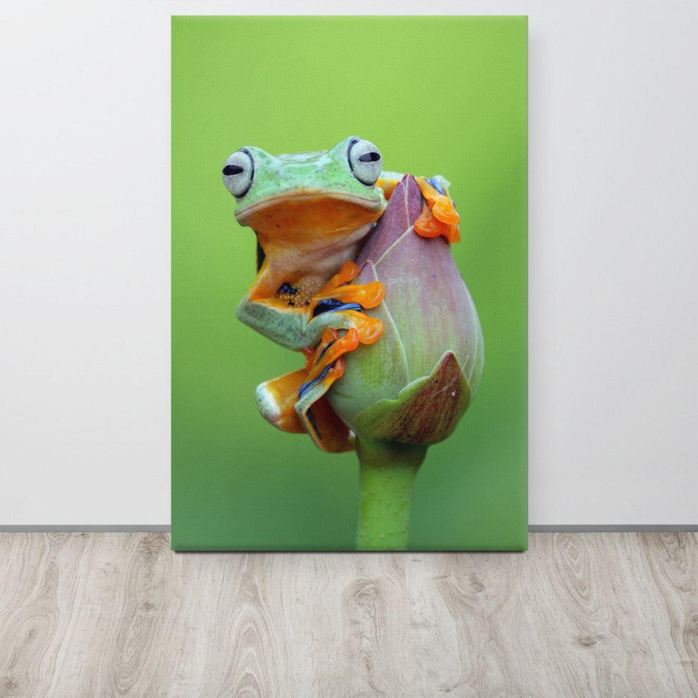 Tiny Green Tree Frog on Lotus Bloom Wildlife Floral Photo Canvas Wall Art Prints, 24" X 36"