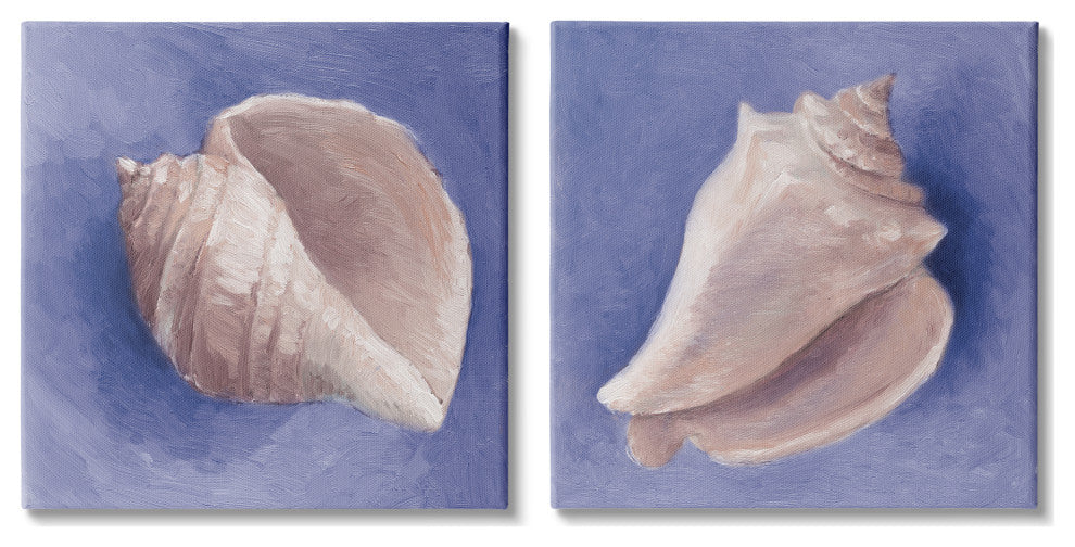 Simple Classic Seashell Conch Still Life Painting, 2pc, each 17 x 17