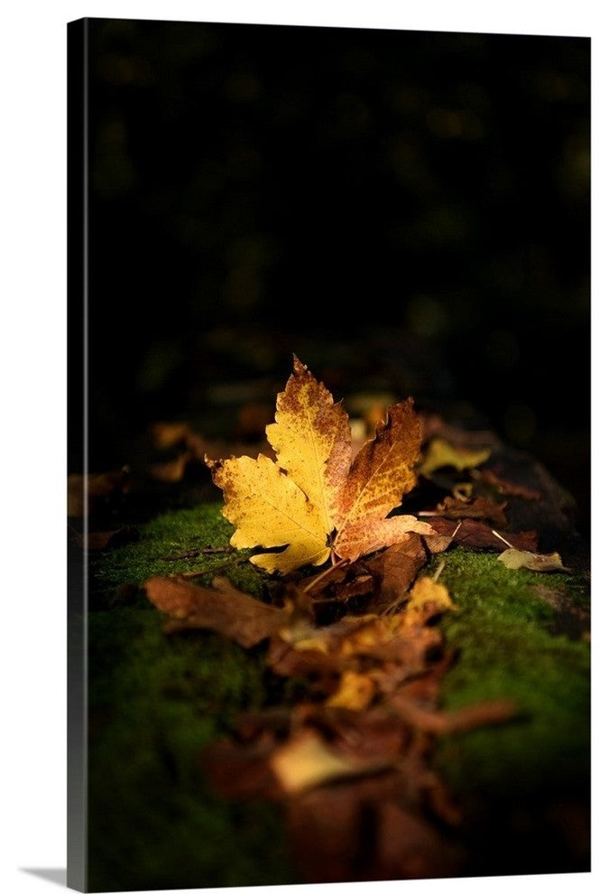 "Yellow Is The Color" Wrapped Canvas Art Print, 24"x36"x1.5"