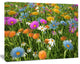 Different Color Flowers in Field, Large Floral Canvas Art Print, 60x40