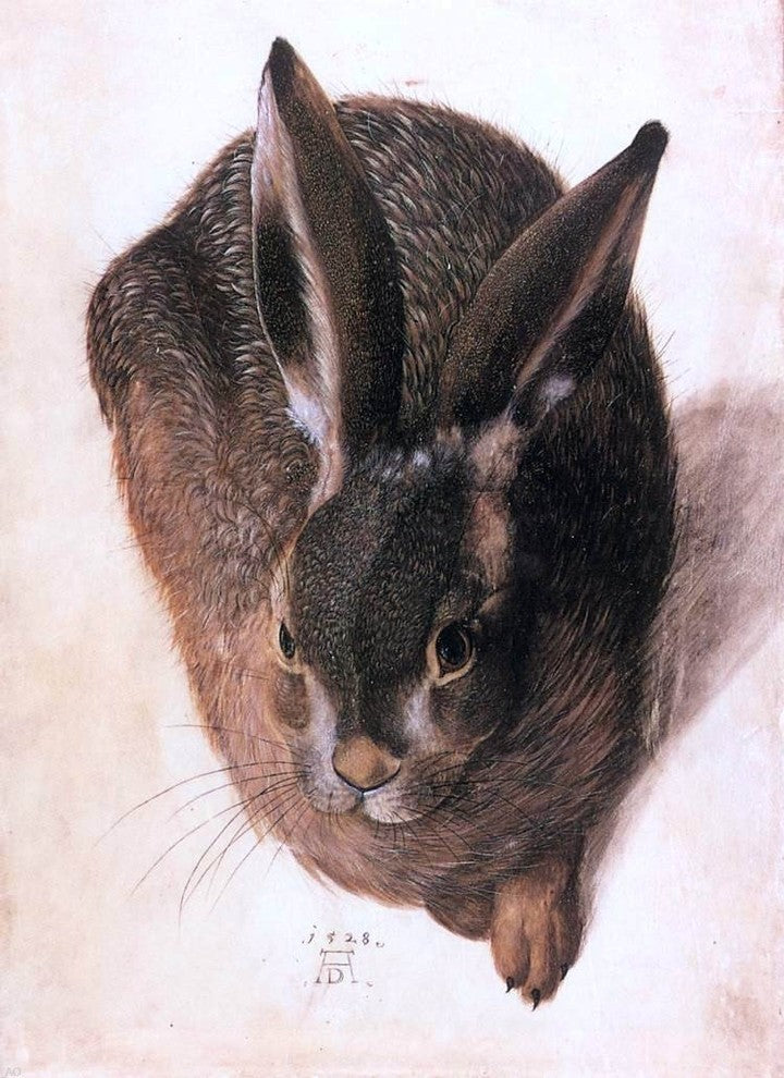Hans Hoffmann Hare, 18"x27" Gallery Wrapped Canvas Print