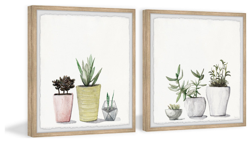 Vases of Succulents Diptych, Set of 2, 24x24 Panels