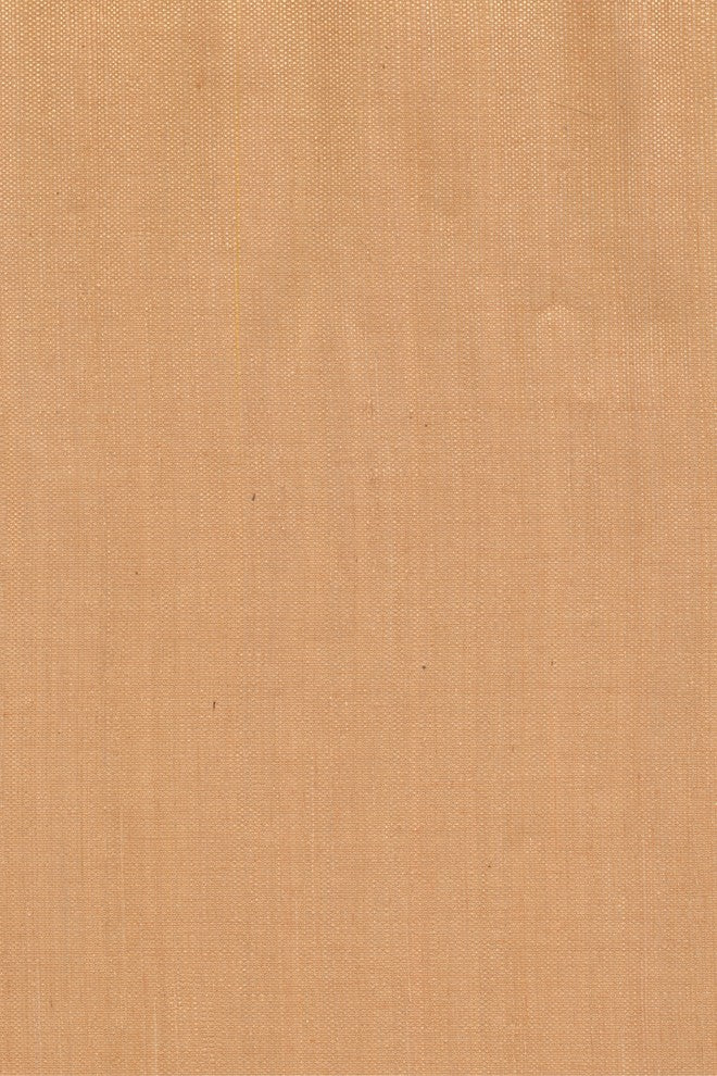 SOLID - Modern Color Beige Wallpaper Roll