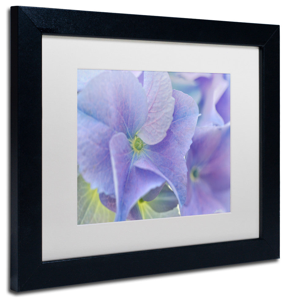 Cora Niele 'Blue Hortensia' Matted Framed Art