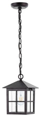 Safavieh Penryn Outdoor Pendant Black