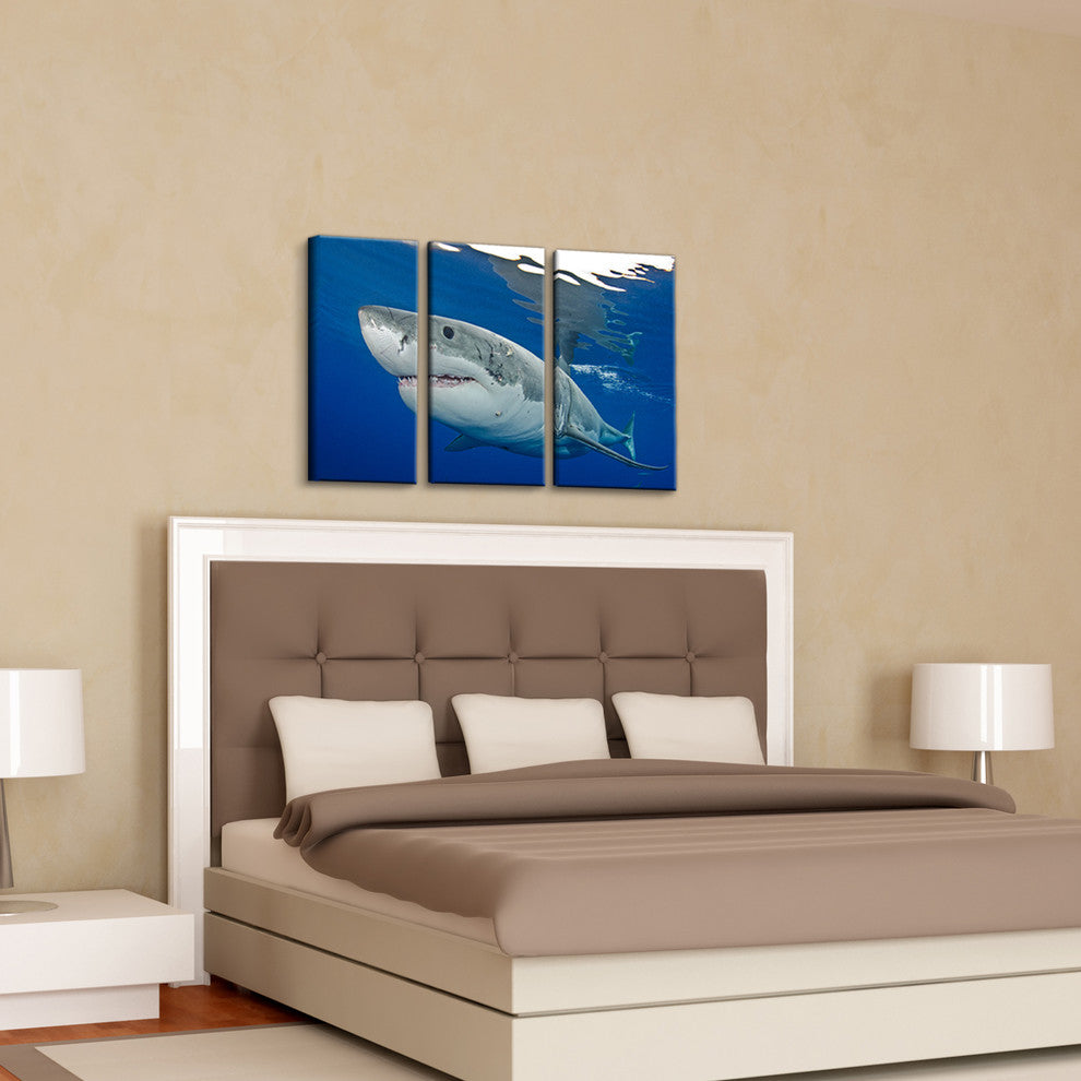 Ready2hangart Christopher Doherty Photography 'Shark' 3-PC Canvas Art Set