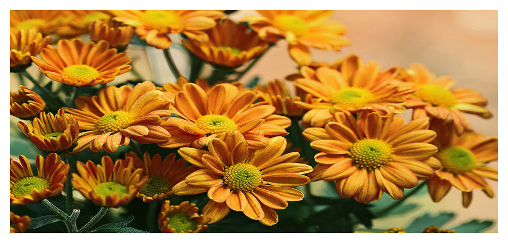 Bright Yellow Flowers in Garden, Large Floral Canvas Art Print, 60"x28"