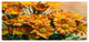 Bright Yellow Flowers in Garden, Large Floral Canvas Art Print, 60"x28"