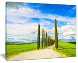 "White Road Through Cypress Trees" Landscape Wall Art Print, 40"x30"