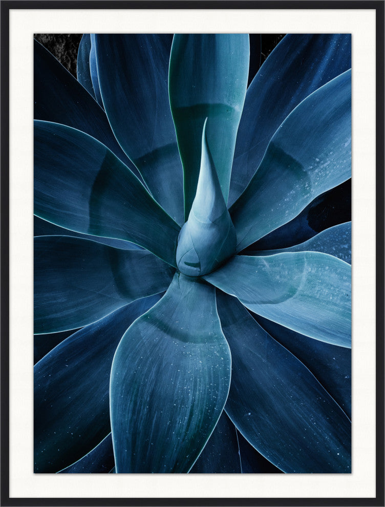 Bold Agave 3, Giclee Reproduction Artwork