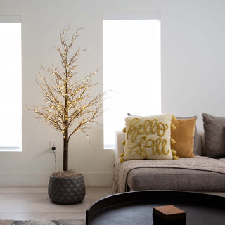 Lifestyle shot in living room with product displayed.