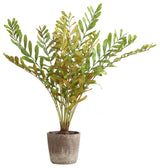 Uttermost Zamia Palm Accent, Planter