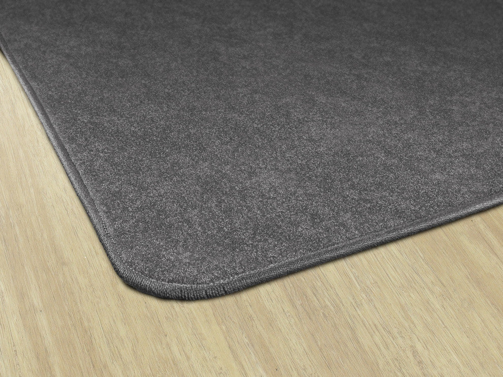 Flagship Carpets TS-34GY Amerisoft Gray