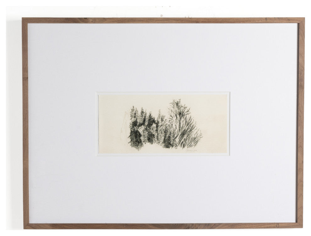 Tree Sketch By Dan Hobday