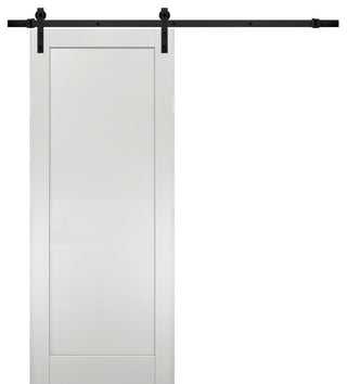 Barn Door 30 x 80 & Hardware | Quadro 4111 White Ash | 6.6FT Rail |