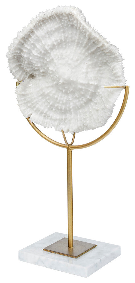 Sandy II, Medium 6"x3" White Coastal Sand Dollar Object, Small