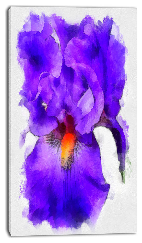 Blue Iris Flower Sketch Watercolor, Floral Canvas Art Print, 16"x32"