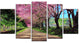 "Cherry Blossom Pathway in Chiang Mai" Landscape Wall Art, 5 Panels, 60"x32"