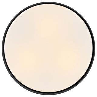 Hinkley Cedric Medium Flush Mount, Black