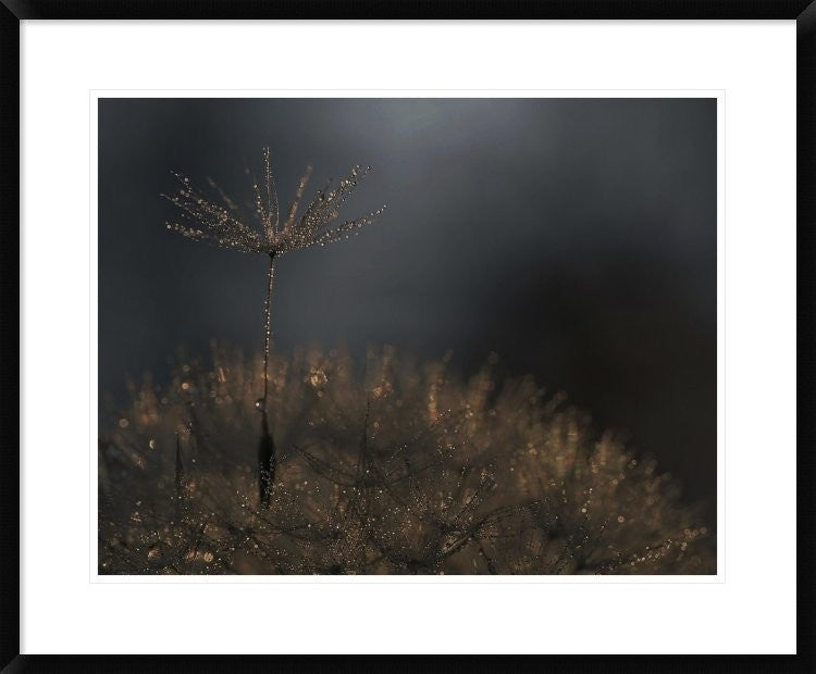 "Standing Toward The Light" Framed Digital Print by Thierry Dufour, 32x26"