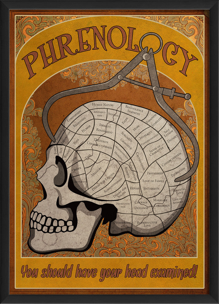 Phrenology Poster Print