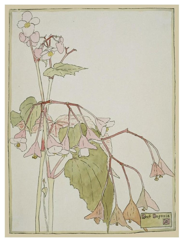 "Beef Begonia" Digital Paper Print by Hannah Borger Overbeck, 38"x50"