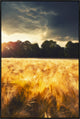 30x45 Here and Elsewhere II, Framed Artwork, Black