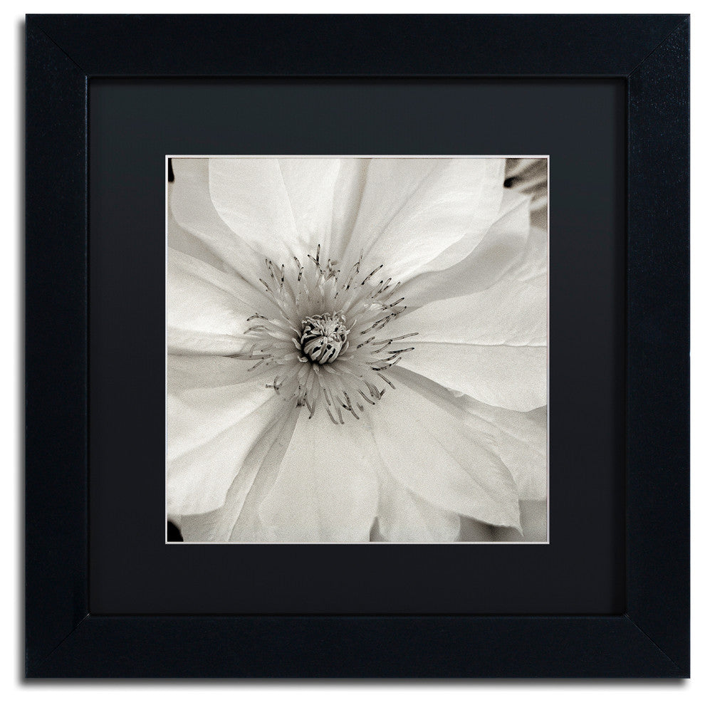 Alan Blaustein 'Florison 32' Art, Black Frame, Black Mat, 11x11