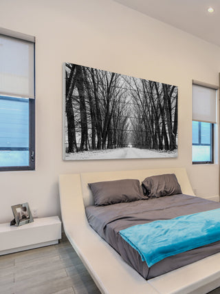 "Rows of Trees" Print on White Wood, 45"x30"