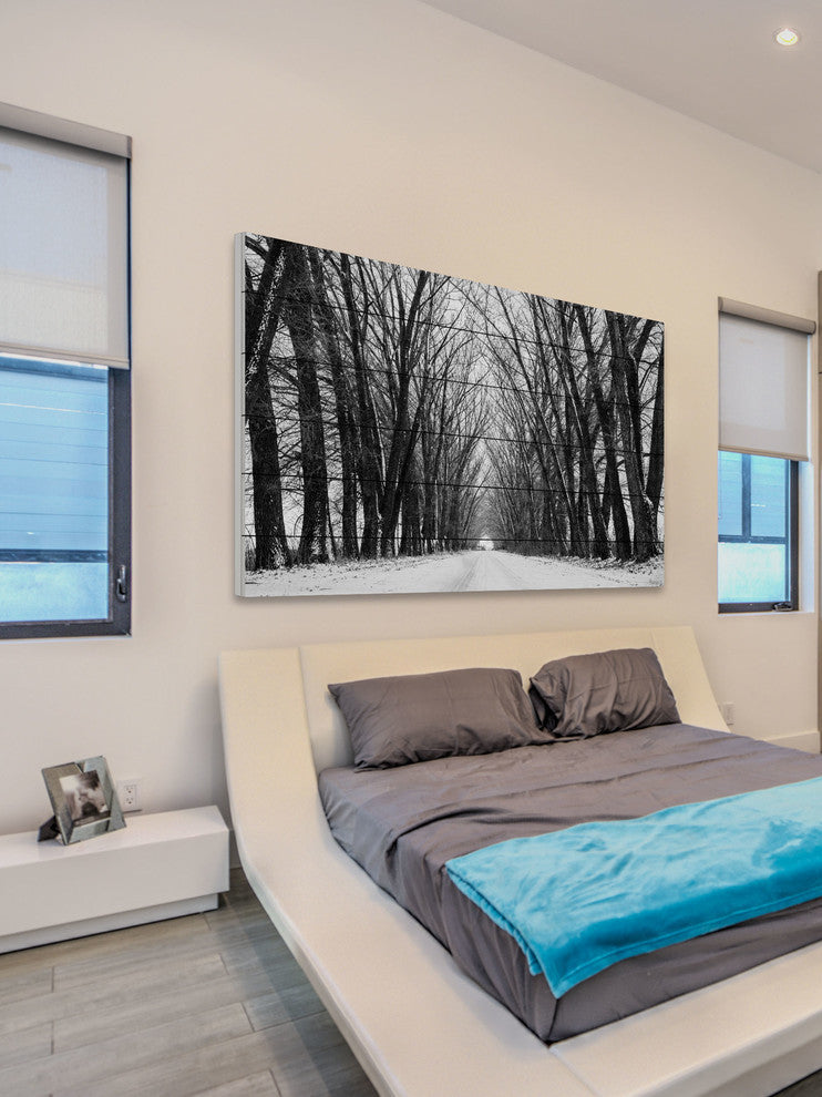 "Rows of Trees" Print on White Wood, 45"x30"