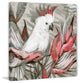 "White Cockatoo III" Painting Print on Wrapped Canvas, 40"x40"