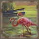 "Flamingo III" Wall Art, 20"x20"