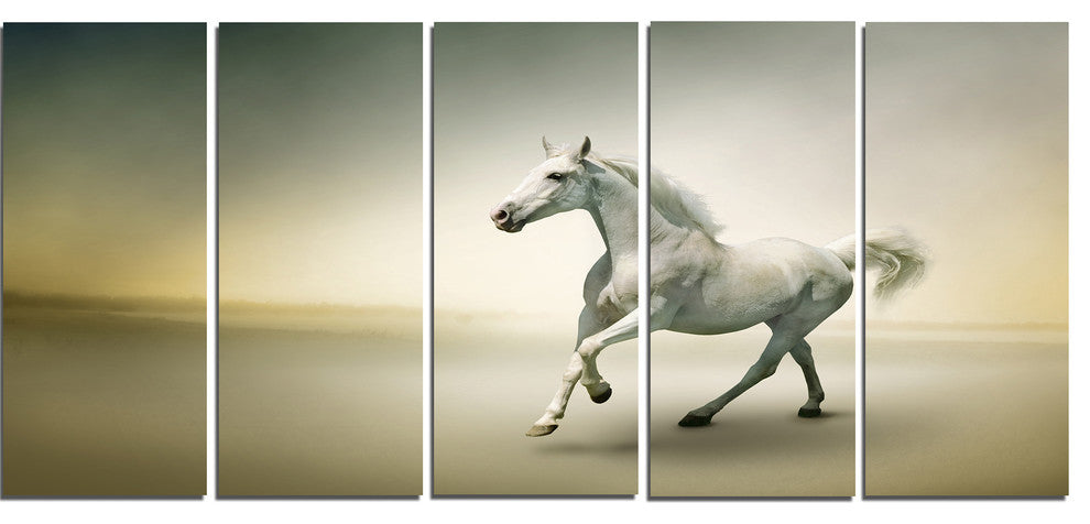 White Horse in Motion, Animal Canvas Art Print, 60"x28", 5 Panels