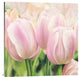 "Primavera II" Stretched Canvas Giclee by Luca Villa , 36x36"