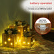 3-Piece Wooden Gift Box Christmas Decor with LED Lights, Gold