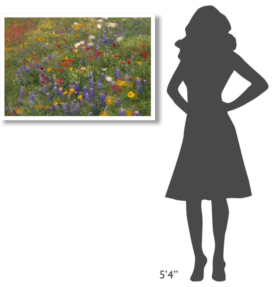 "Wildflowers blowing in the wind, Hill Country, Texas" Paper Art, 38"x26"