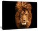 Face of Male Lion on Black, Abstract Canvas Art Print, 20"x12"