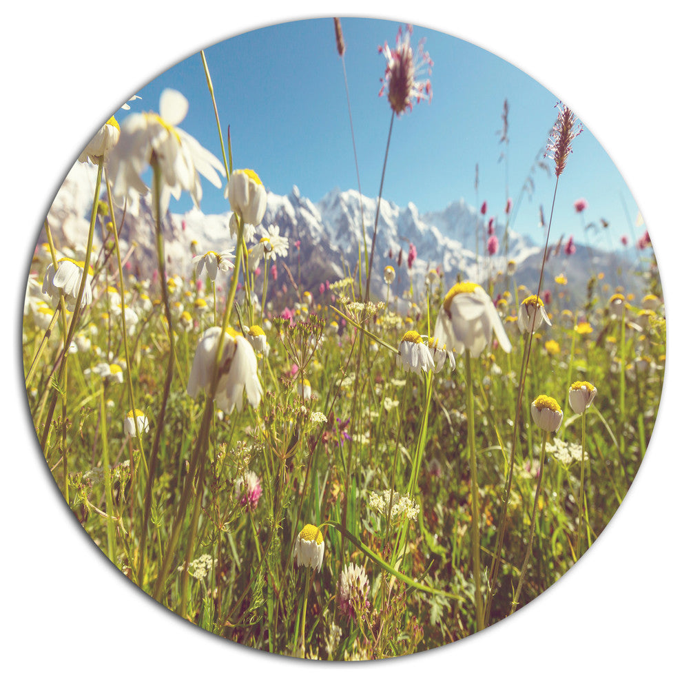 Blooming Mountain Meadow Flowers, Flower Disc Metal Wall Art, 11"