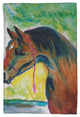 Prize Horse Kitchen Towel - Two Sets of Two (4 Total)