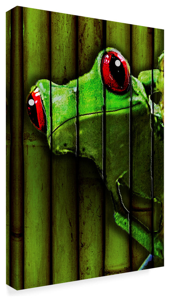 "Camo Frog" by Dana Brett Munach, Canvas Art, 30"x47"