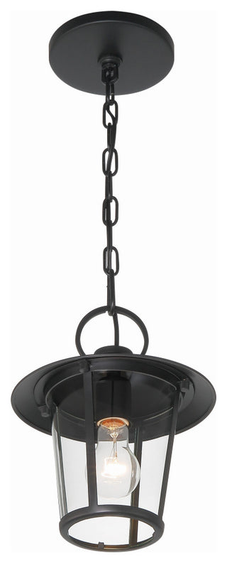 Andover 1-Light Matte Black Outdoor Chandelier