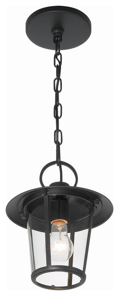 Andover 1-Light Matte Black Outdoor Chandelier