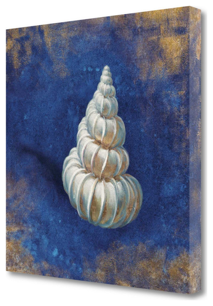 25" Rustic Deep Blue and Gold Shell Giclee Wrap Canvas Wall Art