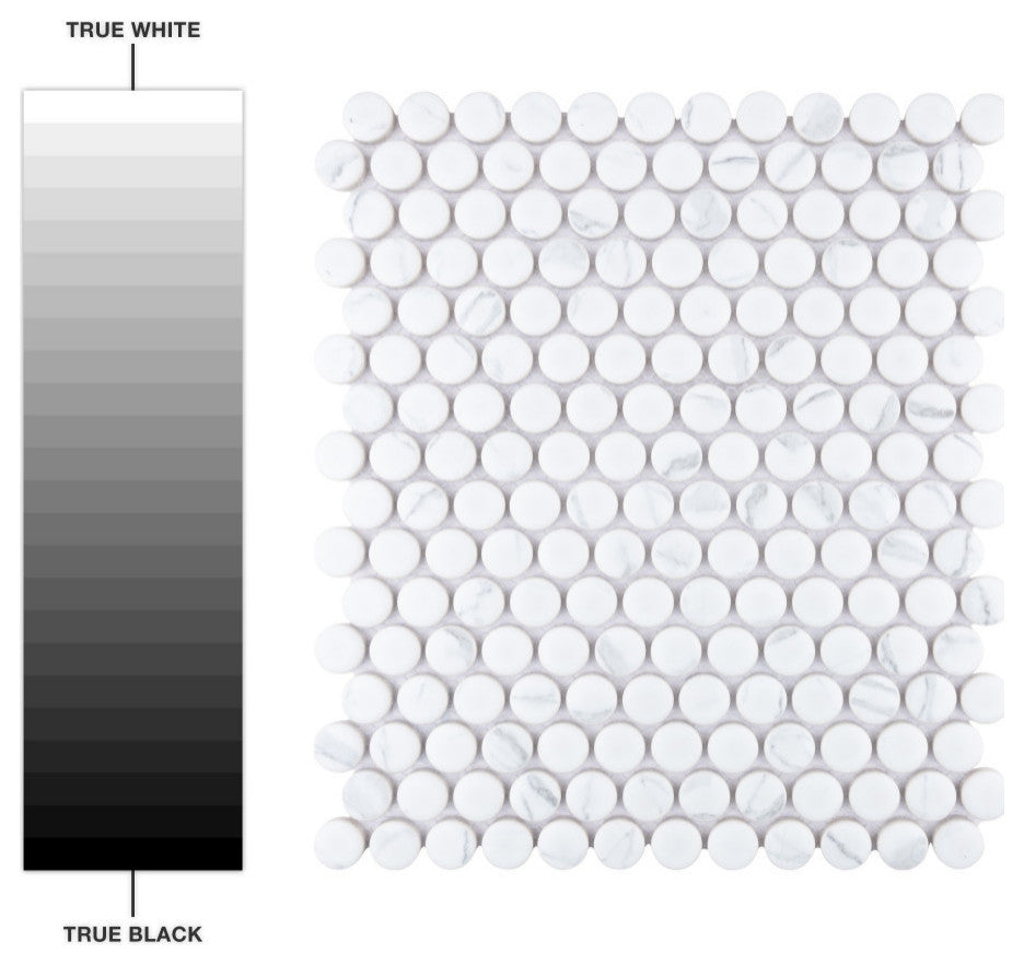 Merola Tile Carrione Penny Porcelain Floor and Wall Tile Sample
