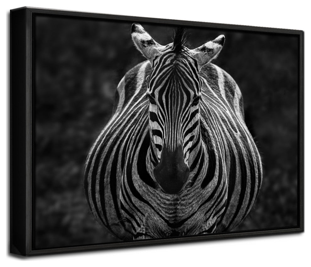 Stare' Framed Print Wall Art by Jiong Chen
